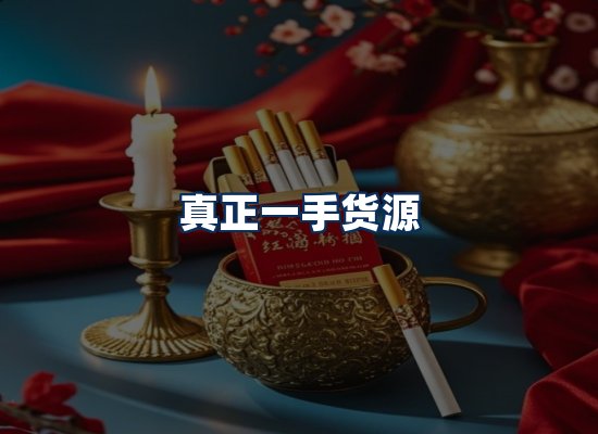 专业团队办公环境